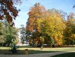 Podzim v zámeckém parku - Kunín